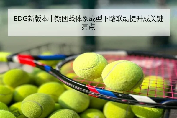 EDG新版本中期团战体系成型下路联动提升成关键亮点